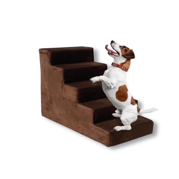 Step O Pedic