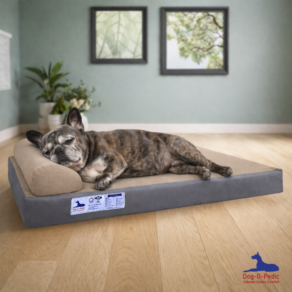 Simulated Latex Foam Pharoah Orthopedic Mattress