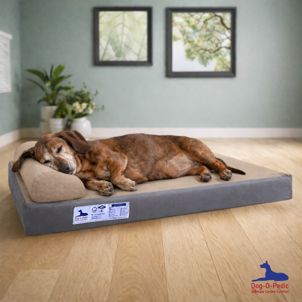 Simulated Latex Foam Pharoah Orthopedic Mattress Cover